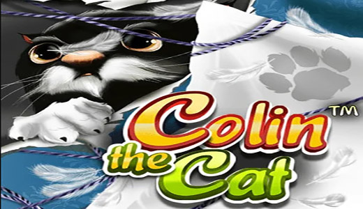 Colin The Cat
